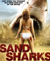 Sand Sharks /  